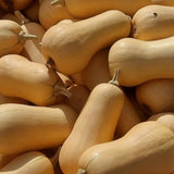 10 Butternut Squash Seeds for Planting, Squash Vegetable Seeds, Grow for Outdoor Garden, Trellis