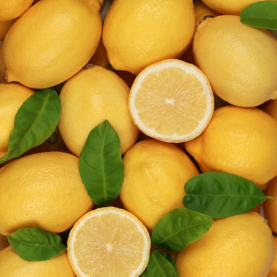 Lemon Tree Live Plant, 3-4 Feet Tall, Well Rooted Grafted Citrus Tree, Live Fruit Trees, Easy Care, Low Maintenance (Yellow Lemon Tree)