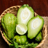 Chayote Squash Plant Live, Vegetable Plant Live, 8 to 10 Inc Tall
