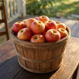 Red Apple Tree 2–3 Ft Tall, Fruit Apple Tree Plant for Outdoor Garden, Sweet Crisp Apples for Backyard Orchard or Home Garden Growing