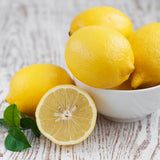 Live Lemon Tree Plant, Tropical Lemon Fruit, Dwarf Citrus Tree, 2-3 Inch Tall, Ready for Planting