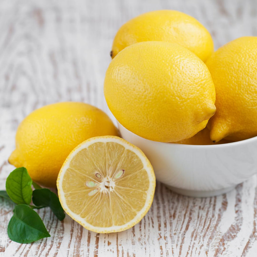 Live Lemon Tree Plant, Tropical Lemon Fruit, Dwarf Citrus Tree, 2-3 Inch Tall, Ready for Planting