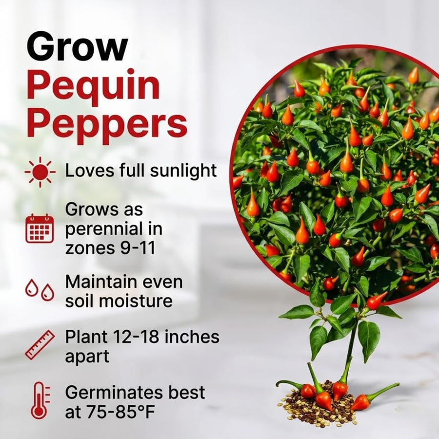 150 Pequin Pepper Seeds for Planting, Chili Pequin Pepper Plant, Hot Peppers Seed, Heirloom Seeds Vegetable for Indoor Outdoor Garden