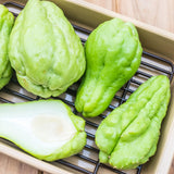 Chayote Squash Plant Live, Vegetable Live Plant, 5 Inc Pot, Green Chayote Squash Starter Plant