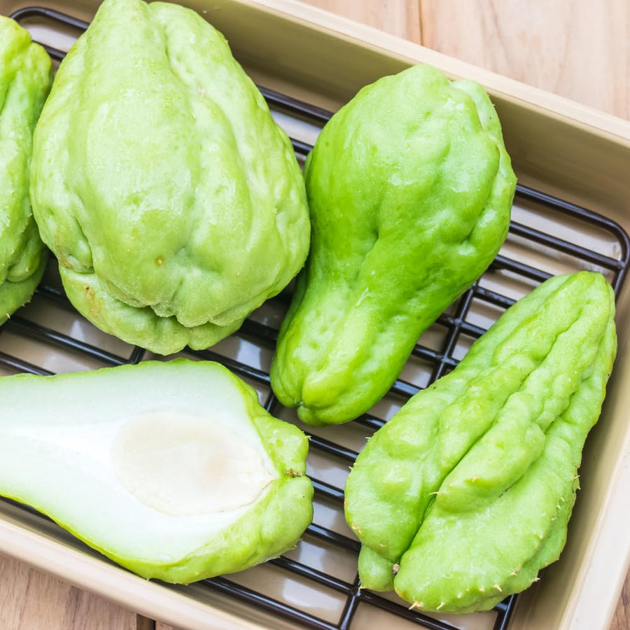 Chayote Squash Plant Live, Vegetable Live Plant, 5 Inc Pot, Green Chayote Squash Starter Plant