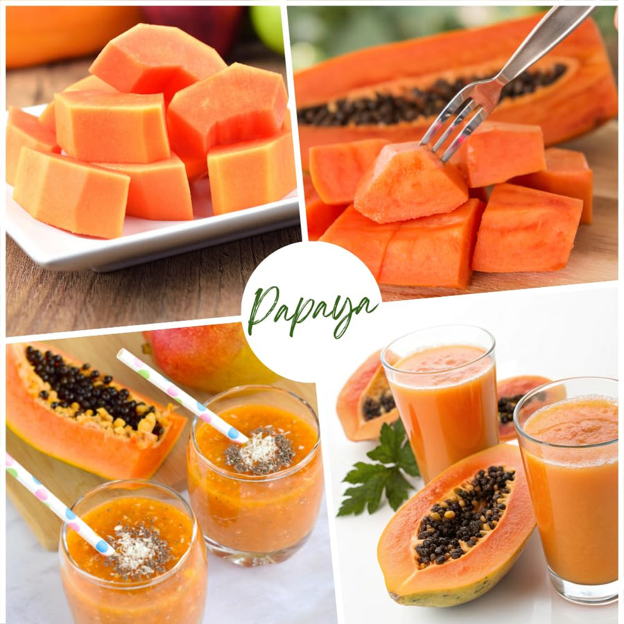 Set 3 Papaya Tree Live Plant, Papaya Plant Live, 4-7 Inc Tall, Fast Growing Fruit Plant for Containers and Outdoor Garden