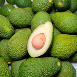 Avocado HASS Tree Live Plant Seedling, 5–10 Inch Tall, Tropical Avocado Fruit Plant for Srping Planting Patio, Garden, and Container Growing