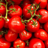 Set 500 Large Cherry Tomato Seeds,Vegetable Plant, Red Red Cherry Tomato Seeds for Outdoor Planting