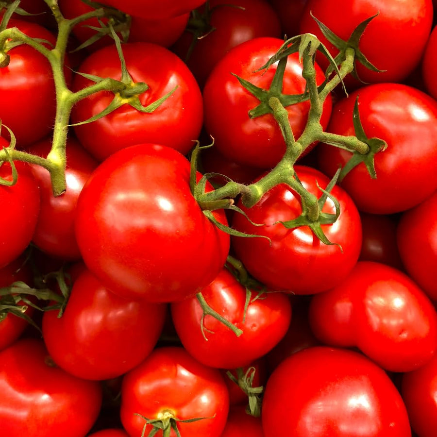 Set 500 Large Cherry Tomato Seeds,Vegetable Plant, Red Red Cherry Tomato Seeds for Outdoor Planting