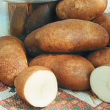 2 Pounds Russet Seed Potatoes for Planting, Heirloom, Vegetable Plant High Yields Potato Seeds Live Tuber Bulbs