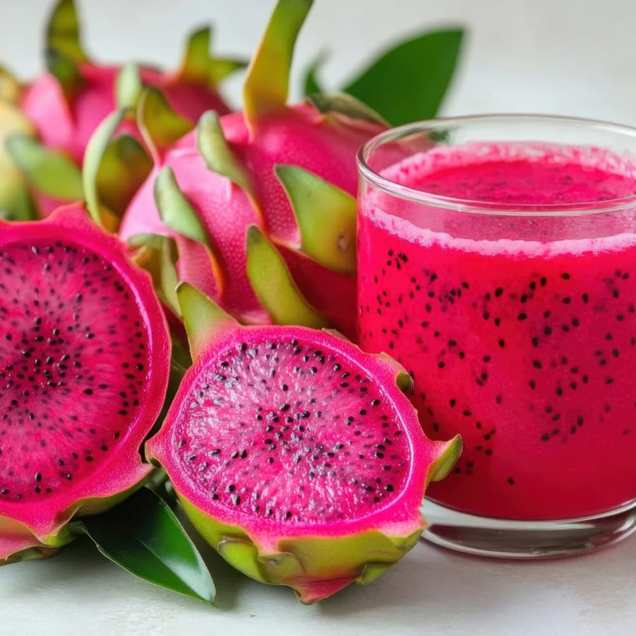 Red Dragon Fruit Live Plant, Sweet Edible Fruit Tree for Planting Outdoor, Tropical Fruit Tree 2 Feet Tall Fully Rooted