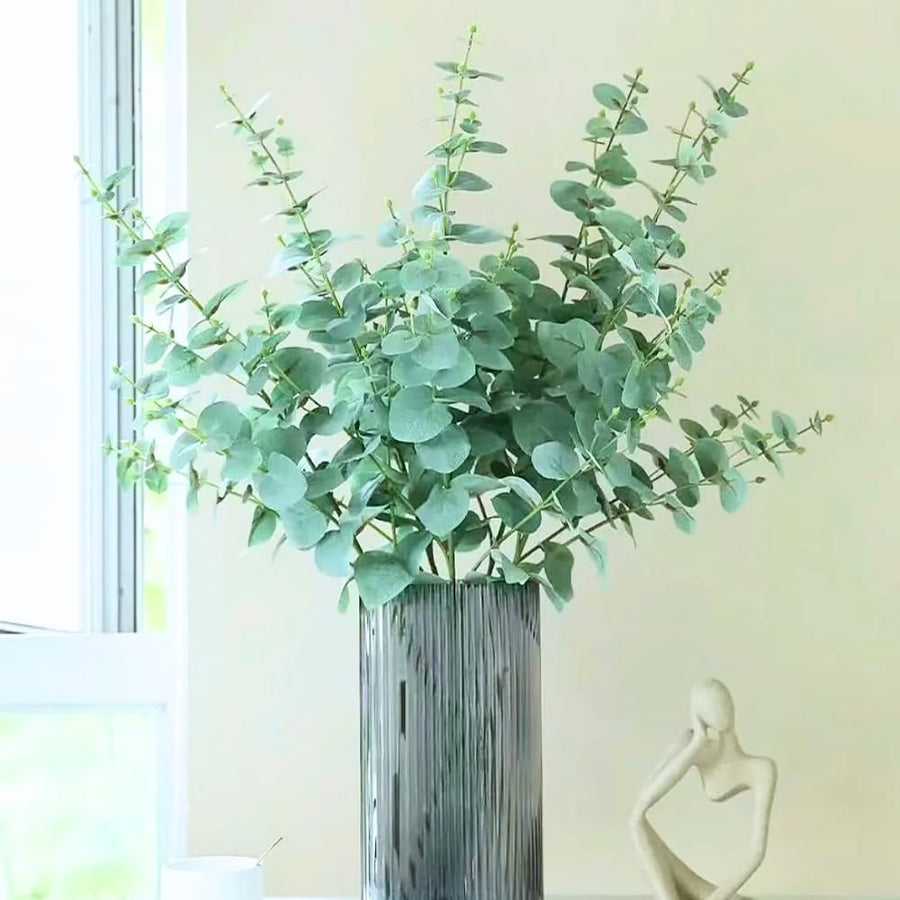 Baby Blue Eucalyptus Plant Live, Eucalyptus Live Plants, in 2.5" Pot, Well-Rooted Starter Plants for Indoor Outdoor Growing