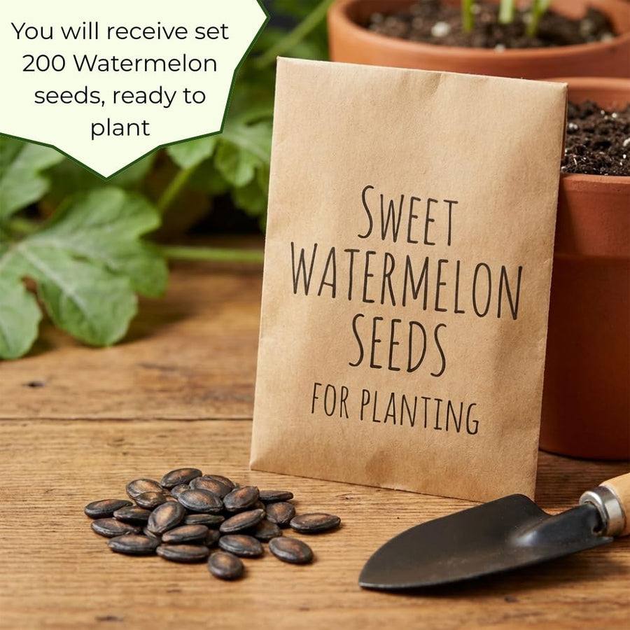 Pack 100 Sweet Watermelon Seeds, Watermelon Seeds for Planting, Heirloom, High Yield Sweet Melon Seed for Beds or Outdoor Garden