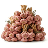 1 LB Jumbo Size Red Chesnok Garlic for Planting in Spring, Softneck Hardneck Garlic Bulbs for Planting, Fresh and High Yield, Cold Hardy, Fast-Growing, 5-6 Bulbs Garlic