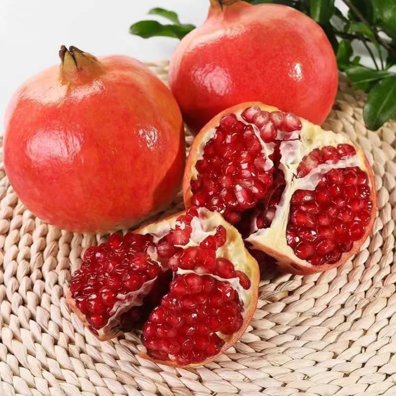 Pomegranate Plant Live in 4" Pot, Cold Hardy Variety, Well-Rooted Fruit Tree Starter for Indoor Outdoor Growing