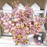 Succulent Plant Live, Live Indoor Outdoor Succulent Plant, 2 Inch Pot, Low-Maintenance Decorative Houseplant (Pink Succulent)
