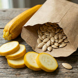 Set 75 Seeds Zucchini Seeds for Planting, Golden Zucchini Seeds, Summer Squash Seed for Indoor Outdoor Planting