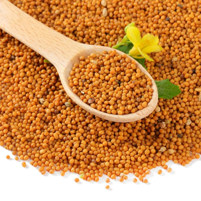 2000 Florida Broadleaf Mustard Seeds, Mustard Green Seeds, Fast Growing Heirloom Vegetable Seed for Garden and Containers