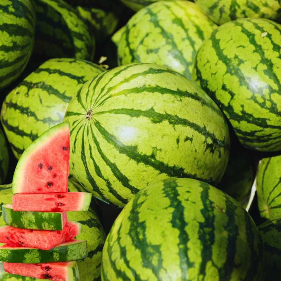 2 Red Watermelon Plants Live from 5 Inc Tall, Sweet Fruit Plant Gardening, Watermelon Live Plant Potted