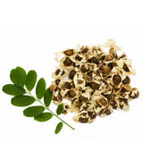 50 Moringa Seeds, Moringa Oleifera Drumstick Tree Seeds, Fast Growing Tree for Outdoor Garden
