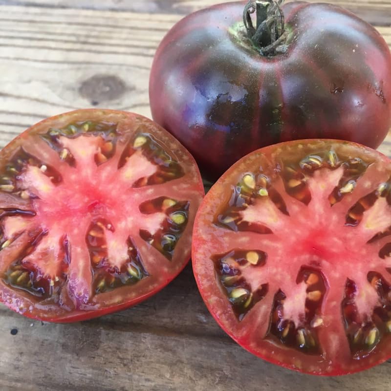 Lot 4 Tomato Plants Live for Planting Outdoors, Large and Juicy Tomatoes, Well Rooted, 6 to 8 Inch - Cherokee Purple Tomato