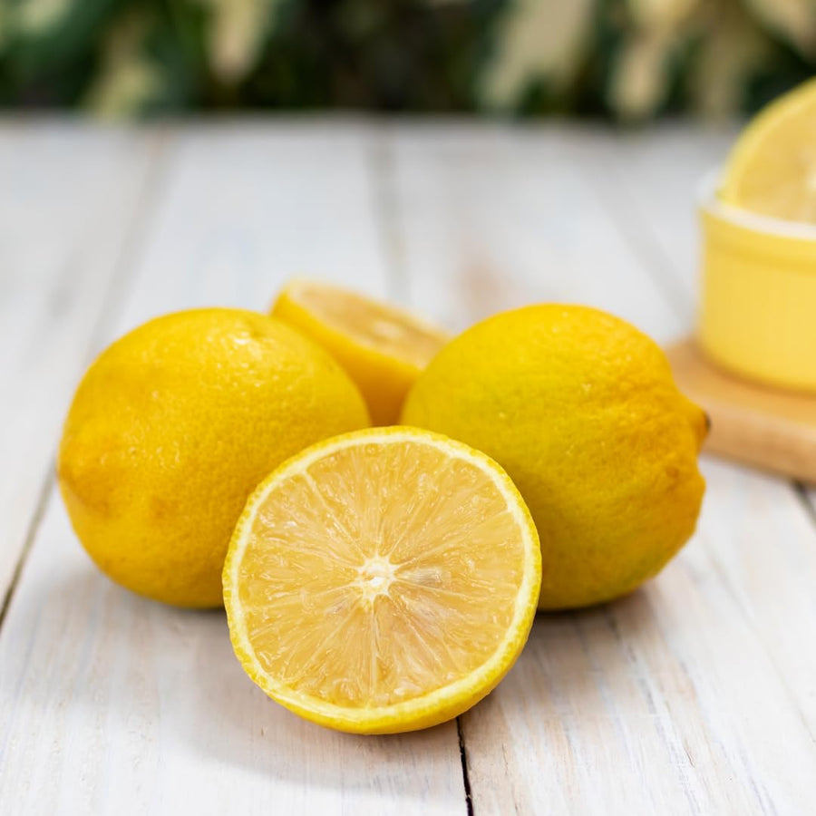 4 Months Old Meyer Yellow Lemon Tree Live Plant, Well-Rooted for Zones 9-11, 2-3 Inches Tall in 4 Inch Pot, Tropical Fruit Tree for Indoor or Outdoor Growing