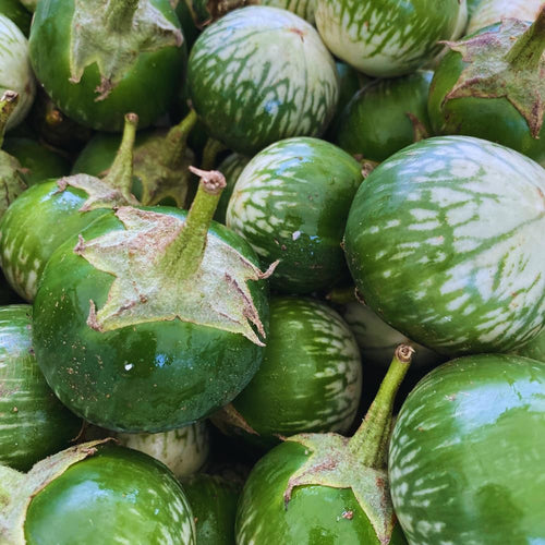 100 Green Eggplant Seeds for Planting, Eggplants Seeds, Vegetable Plant Garden Outdoor Indoor