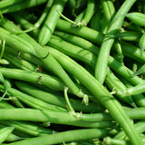 2 PPP Green Beans Plant Live, 4 to 6 Inches Tall, Green Bean Plants Live for Planting, Potted Vegetable Starter Plants for Home Gardens