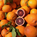 Blood Orange Citrus Plant Live, Blood Orange Plant Live, Grafted Citrus Tree, Fruit Tree, 2 to 3 Feet Tall for Outdoor Gardening