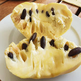 2 Pawpaw Trees Live Plants, Paw Paw Asimina Triloba, Well Rooted Plant Live, 7 to 16 Inc Tall, Mango Papaya Like