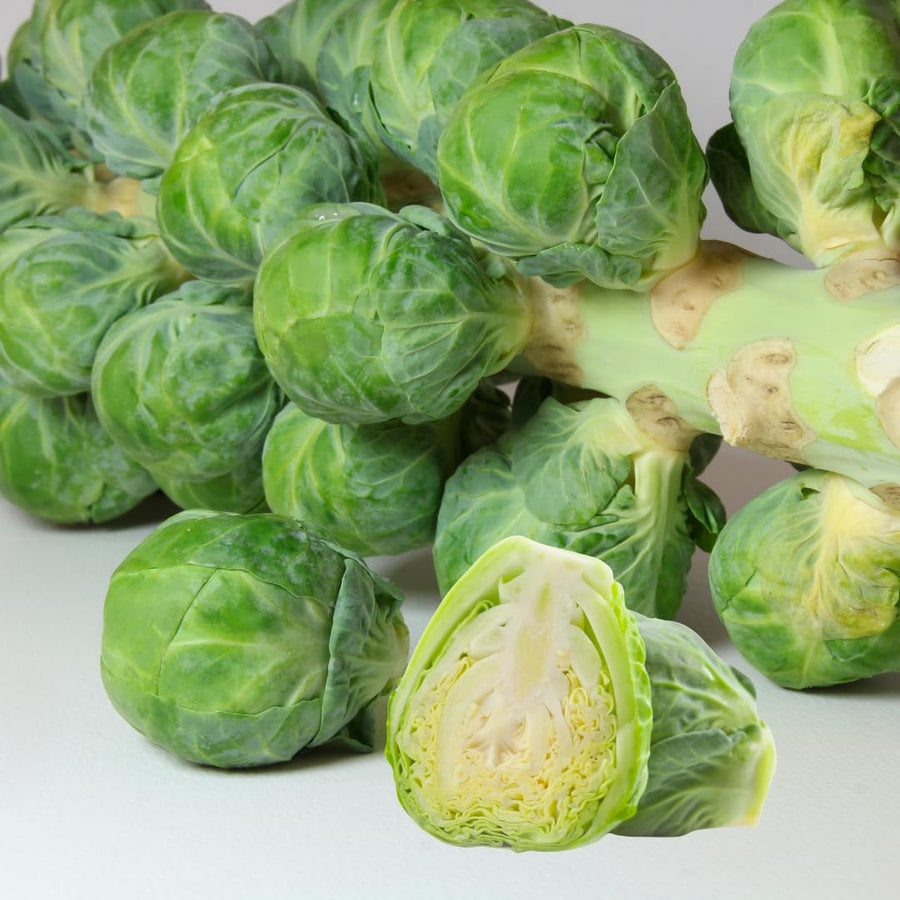 2 Brussels Sprouts Vegetable Plants Live, Garden Seedlings in 4 Inch Pot for Outdoor Growing