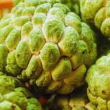 Sugar Apple Tree Live Plant, Custard Apple Plant Live Between 3 and 4 Feet Tall, Sweet Fruit Tree Home Garden
