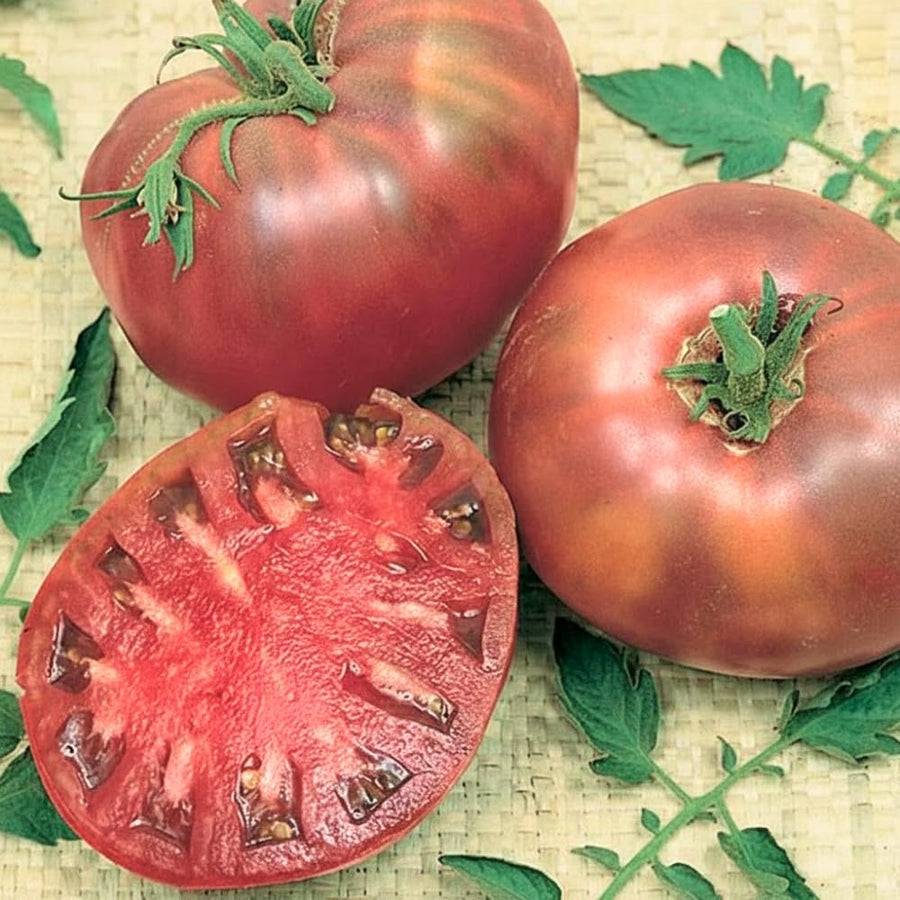 500 Red Purple Tomato Seeds for Planting, Tomato Seeds, Heirloom Vegetable Seed, Sweet Tomatoes for Container and Outdoor Planting