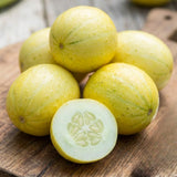 2 Cucumber Plants Live for Planting, Lemon Cucumber Live Plant in 4 Inches Pot, Well Rooted from 6 to 8 Inches Tall for Vegetable Garden, Cucumbers Starter Plant