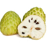Live Custard Apple Tree, 2-3 Feet Tall Sugar Apple Fruit Plant in 1 Gallon Pot