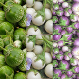 Pack of 100 Mixed Eggplant Seeds for Planting, Assorted Eggplant Vegetable Seeds for Outdoor Gardening, Suitable for Home Garden Beds, Raised Beds, or Containers