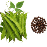 50 Winged Bean Seeds for Planting, Vegetable Vine Plant Seeds Gardening Outdoor