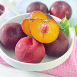 1 Year Old Live Plum Tree Plant for Planting, Sweet Cold Hardy Plum Trees Live Plants, Winter Hardy for Year Round Planting