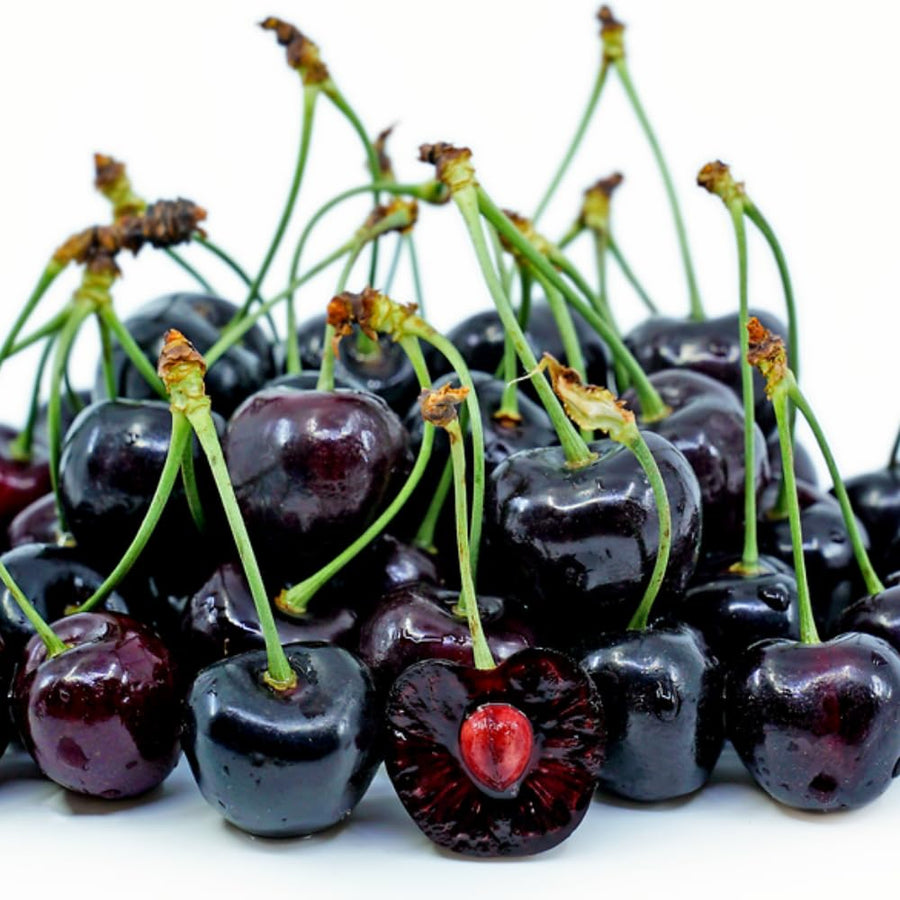 2 Black Cherry Plants Live 1-2 Feet Tall, Sweet Cherry Trees Live Plant, Cherry Live Plant Fruit Tree, Cherry Tree Plant