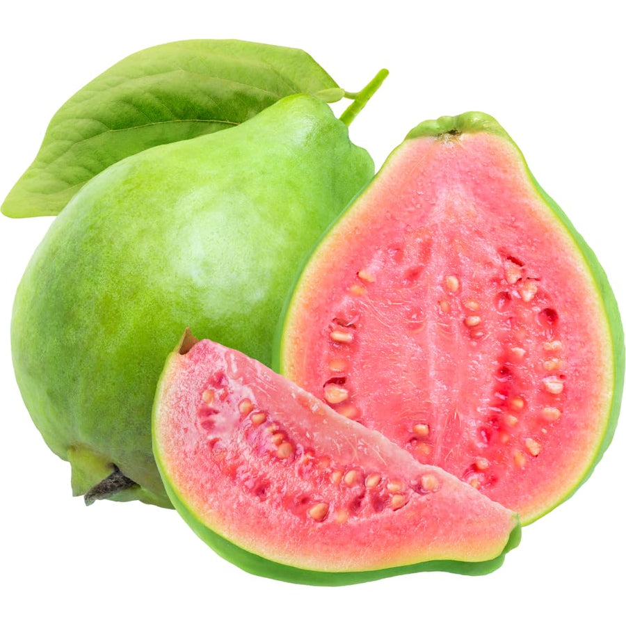 Pink Guava Tree Live, 8-10 Inc Tall Tropical Fruit Tree, Sweet Guava Plant for Outdoor or Indoor Planting, Well-Rooted