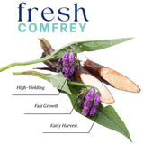 9 Comfrey Roots for Planting, Comfrey Cuttings Bocking 4 Rhizomes, 1-2", Perennial Herbs for Growing Outdoor, Fast Growth and High Yields