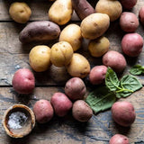 2 Lbs Mixed Potato Tubers High Yielding for Outdoor Planting,Vegetables Potatoes Plants Bulbs Seeds, Heirloom Seed Potato Live Tuber: Purple, Yellow, Red