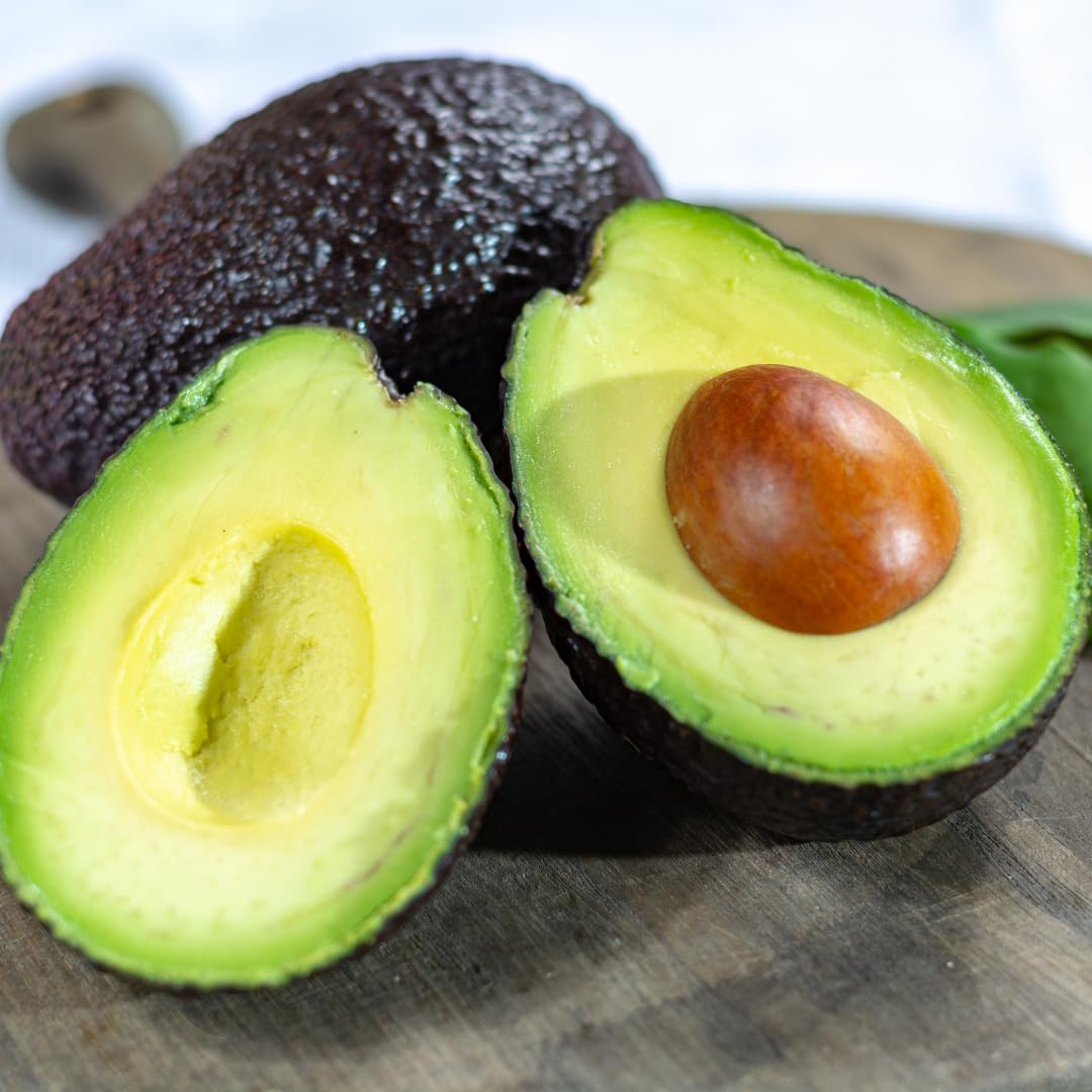 16-20" Cold Hardy HASS Avocado Tree Live Plant in Half Gallon, 1 Year Old Avocados Seedling for Planting, No CA