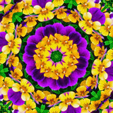 2 Mix Pansies Plants Live Potted, Pansy Plants Live, 4 to 6 Inc Tall