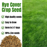 5 Ibs Rye Cover Crop Seeds, Cereale Rye Cover Crop Seeds for Garden Beds and Outdoor Growing