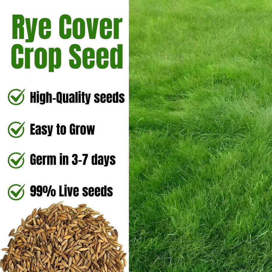 5 Ibs Rye Cover Crop Seeds, Cereale Rye Cover Crop Seeds for Garden Beds and Outdoor Growing