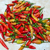 100 Bird Chili Pepper Seeds for Planting, Chili Seed for Garden, Containers