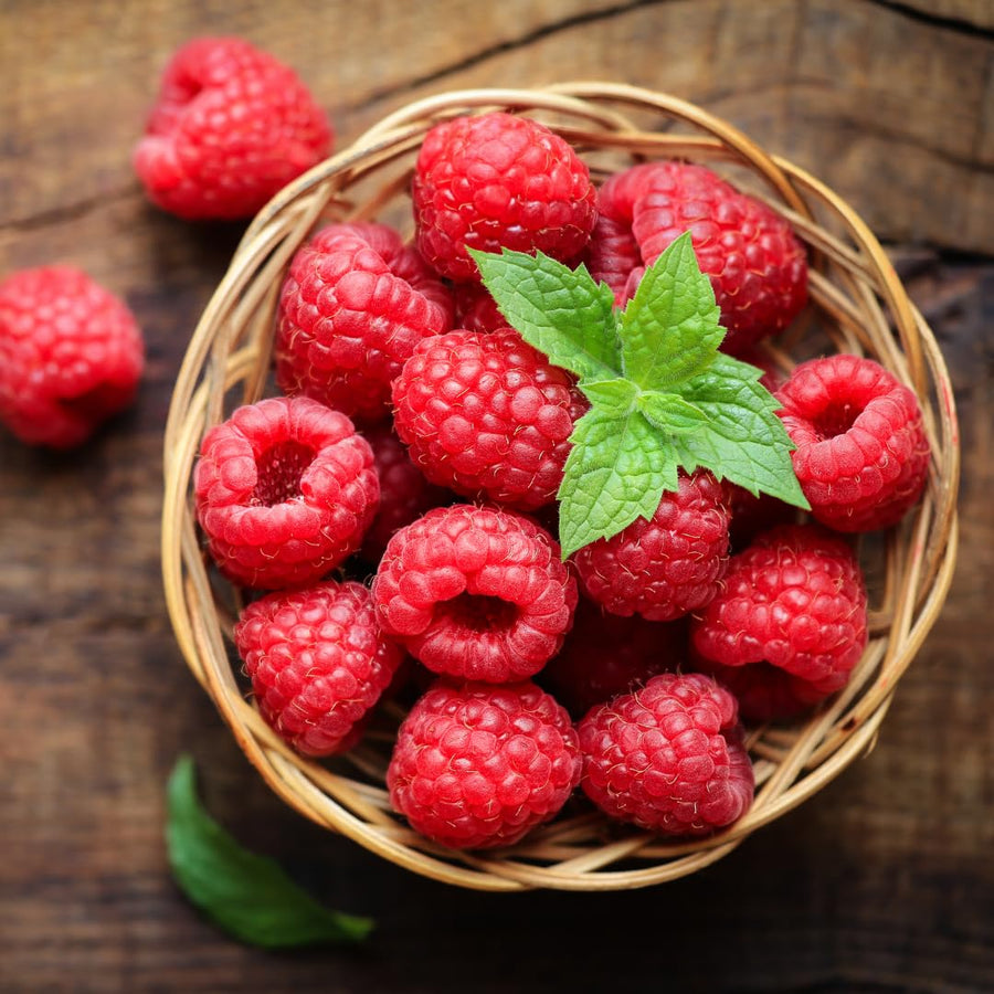 Red Raspberry Live Plant in 4 Inch Pot, 6-8 Inch Tall - Sweet Raspberry Plants, Berry Fruit Starter Plant for Outdoor Garden