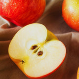 Apple Plant Live, Apple Tree Live Plant Bare Roots, 2 to 3 Feet Tall, Sweet Fruit for Backyard Orchard