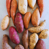 High Yielding Mixed Potato Tubers, 1 Pound of Russet, Yukon, Red Potatoes Plants Bulbs for Outdoor Growing,Vegetables Heirloom Potato Seeds Live Tuber for Home Garden